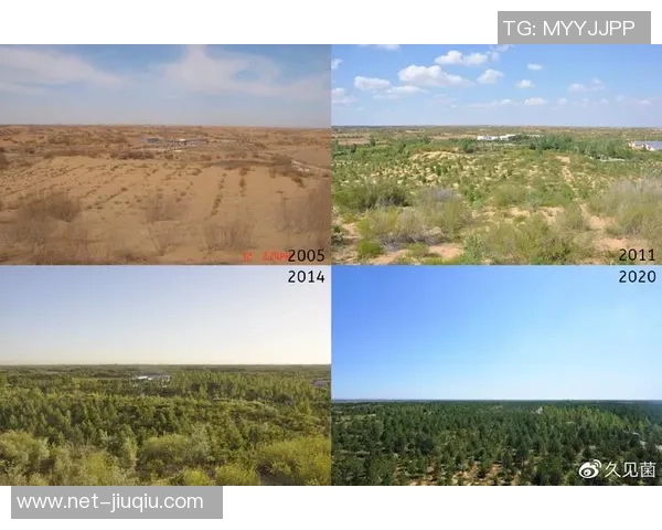 中国与巴西卫星源发展对比分析及未来合作展望